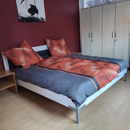 Kiefernwald Mechernich