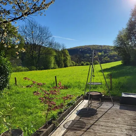 Kiefernwald * Mechernich