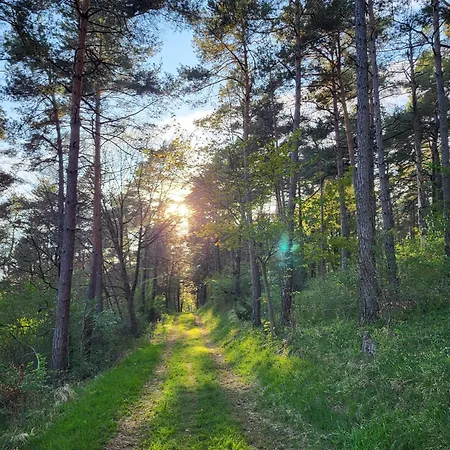 Apartmán Kiefernwald Mechernich
