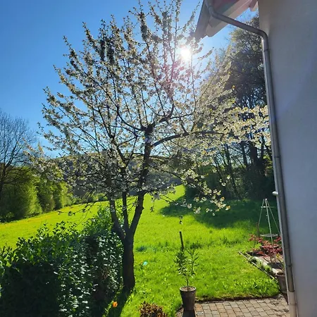 Kiefernwald Apartmán