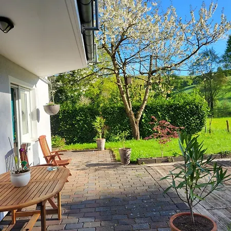 Kiefernwald * Mechernich