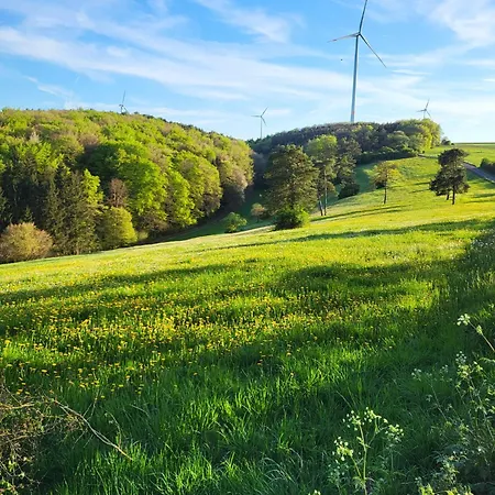 Apartmán Kiefernwald Mechernich