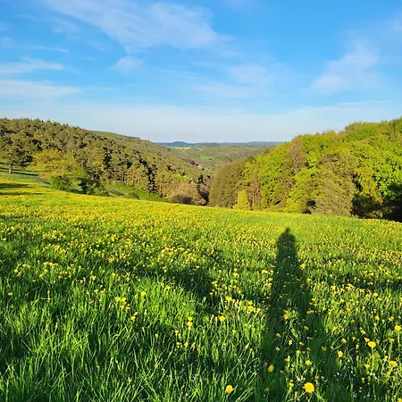Kiefernwald * Mechernich