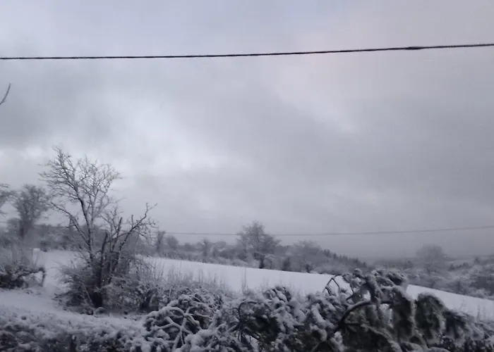 Kiefernwald דירה