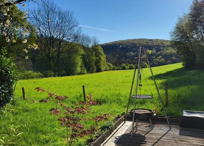 Kiefernwald * Mechernich