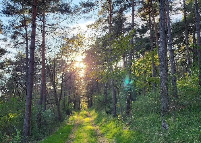 Daire Kiefernwald Mechernich