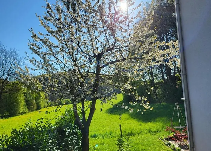 Kiefernwald דירה