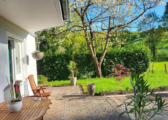 Kiefernwald * Mechernich