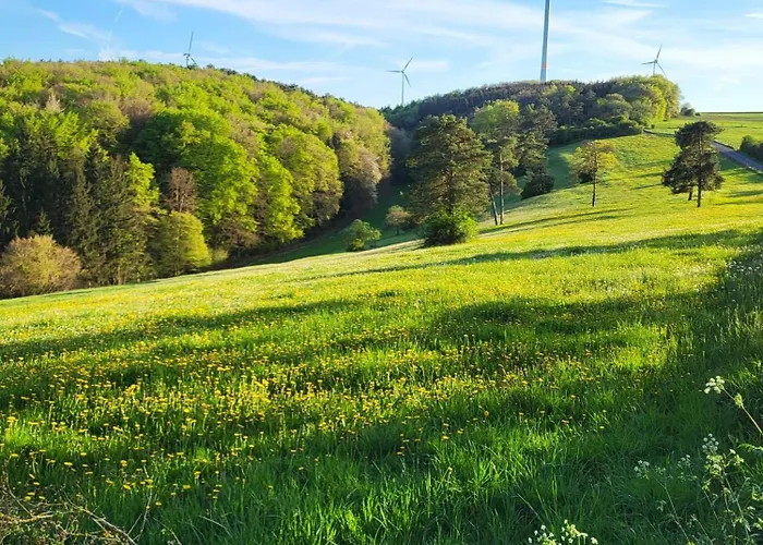 דירה Kiefernwald מכרניך