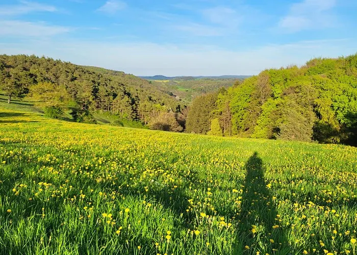 Kiefernwald * Mechernich